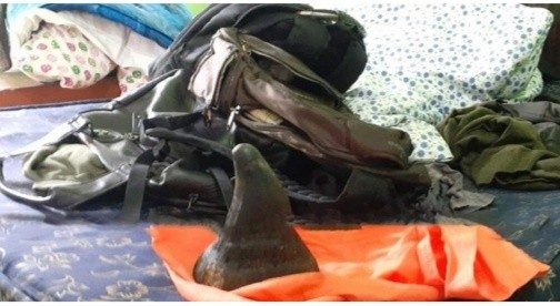 बुटवल गोली चल्याे, गैँडाको खाग तस्कर घाइते