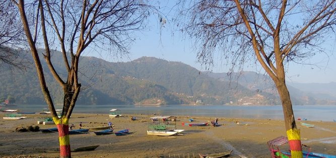 फेवातालको पानी एक मिटर घटाएपछि…(फोटो फिचर)
