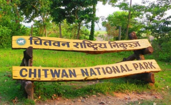 राष्ट्रिय निकुञ्जमा ५ हात्ती मरे, राप्तीमा छाडियो ७० गोही