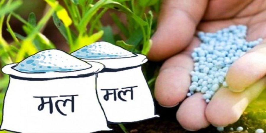 हिउँदेबालीलाई मल अभाव हुँदैन : कृषिमन्त्री भुसाल